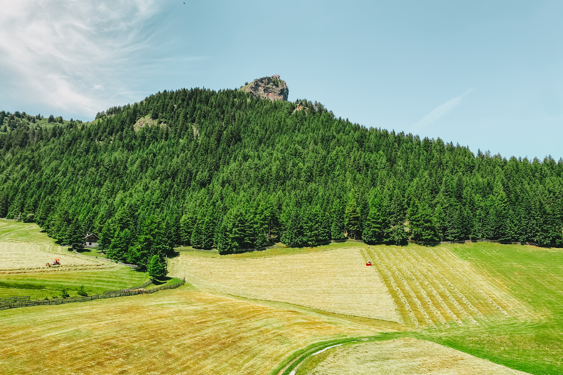 berggasthof-steckholzer-bergbauernhof-sommer-wald-und-wiese-blick-padauner-kogel