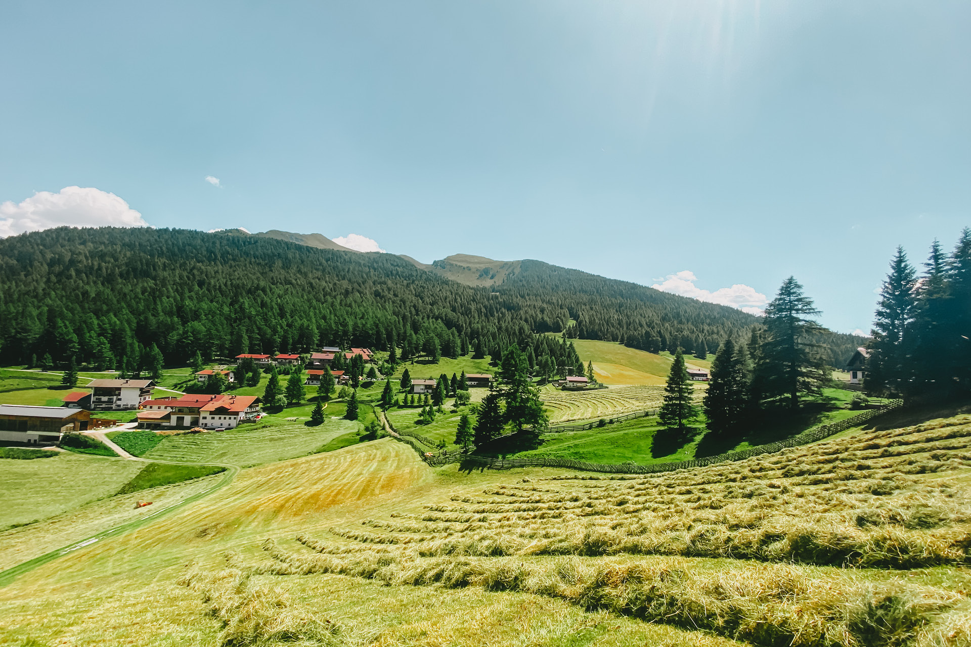 berggasthof-steckholzer-bergbauernhof-sommer-wald-und-wiese-heuernte-blick-steckholzerhof